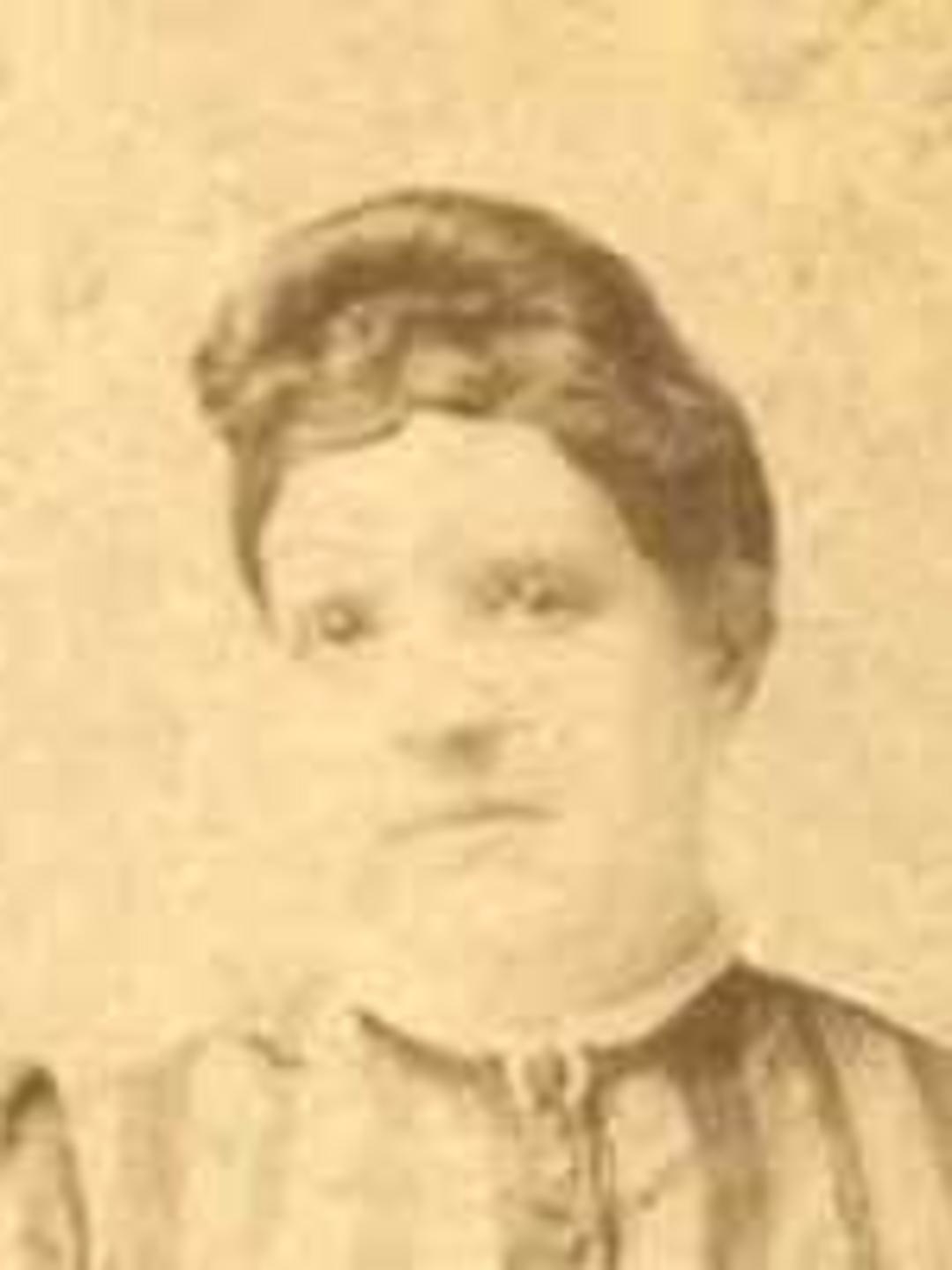 Rosina Singleton (1850 - 1918) Profile